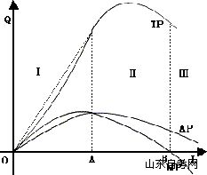 西方经济学学习笔记 一种可变生产要素的生产函(图5)